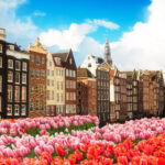 Facades of dutch houses over canal with fresh tulip flowers, Amstardam, Netherlands