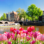 houses of Amsterdam Netherlands at spring with boat and tulips, Amsterdam spring scenery